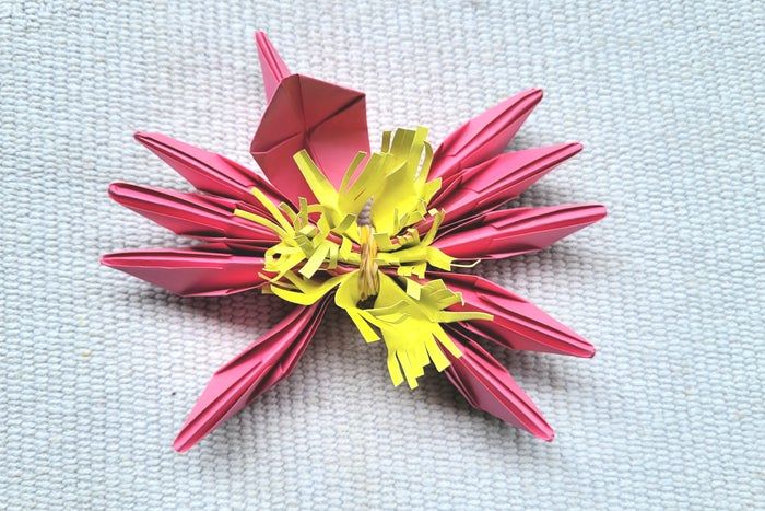 超简单折纸睡莲教程，零基础也能轻松学会-第25张图片-趣作屋