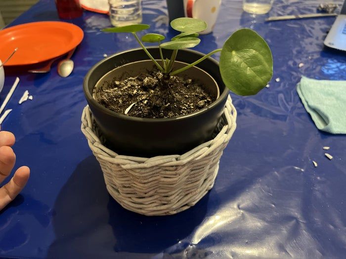 用旧报纸做手工编织篮子教程,简单易学环保又实用-第3张图片-趣作屋 用旧报纸做手工编织篮子教程,简单易学环保又实用-第3张图片-趣作屋