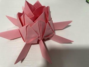 超简单折纸睡莲教程，零基础也能轻松学会-第13张图片-趣作屋