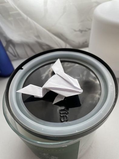 超简单！10厘米纸张折跳蛙教程，一看就会-第2张图片-趣作屋