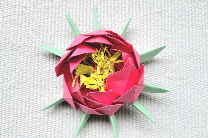 超简单折纸睡莲教程，零基础也能轻松学会-第27张图片-趣作屋