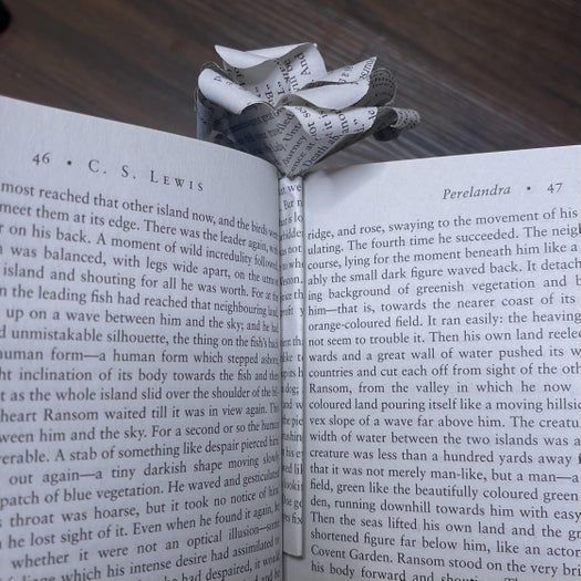 20分钟搞定！用旧书页手工制作纸玫瑰书签教程-第2张图片-趣作屋