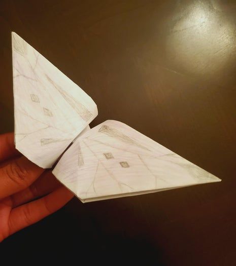 超简单折纸蝴蝶教程,手把手教你轻松学会-第19张图片-趣作屋