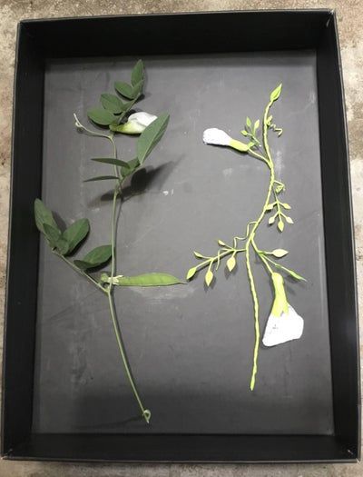 超详细手工纸花制作教程，零基础也能轻松上手！-第65张图片-趣作屋