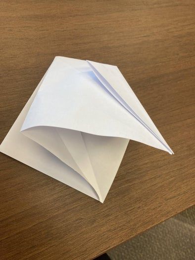 超简单仙鹤折纸教程，零基础也能轻松学会-第13张图片-趣作屋