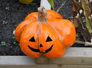 低成本手工制作万圣节南瓜灯教程-第2张图片-趣作屋