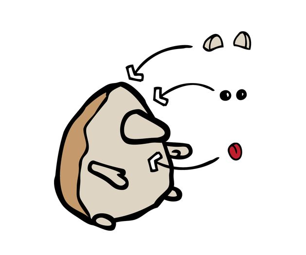 手工制作刺猬礼物包装教程，简单又有趣的DIY惊喜-第13张图片-趣作屋