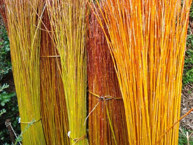 超详细纸艺花篮制作教程，用皱纹纸轻松DIY非洲菊花束-第13张图片-趣作屋