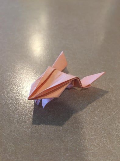 超简单会跳的折纸青蛙教程-第1张图片-趣作屋