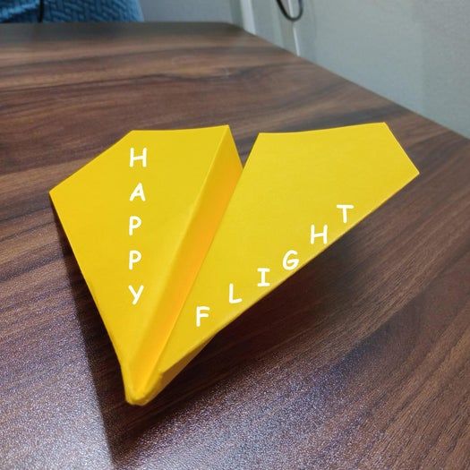 超酷滑翔纸飞机折叠教程，轻松飞出69米远-第16张图片-趣作屋