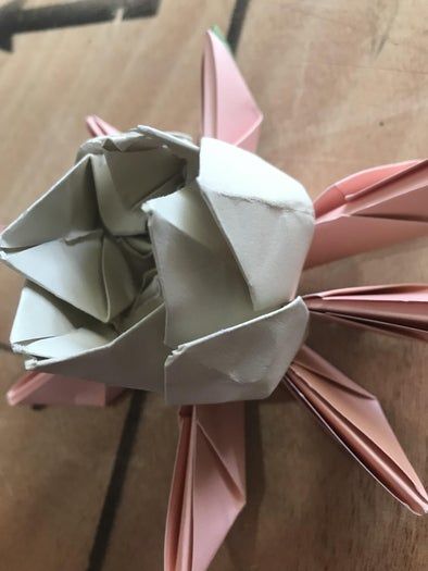 零基础也能轻松折出莲花折纸变体，附详细步骤与创意装饰-第20张图片-趣作屋