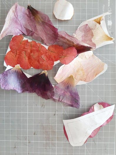 零基础也能做！手工干花明信片DIY教程-第8张图片-趣作屋