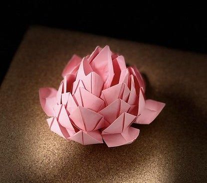 超简单折纸睡莲教程，零基础也能轻松学会-第2张图片-趣作屋