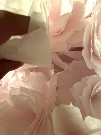 超低成本DIY咖啡滤纸花墙装饰教程，租房也能轻松上手-第23张图片-趣作屋