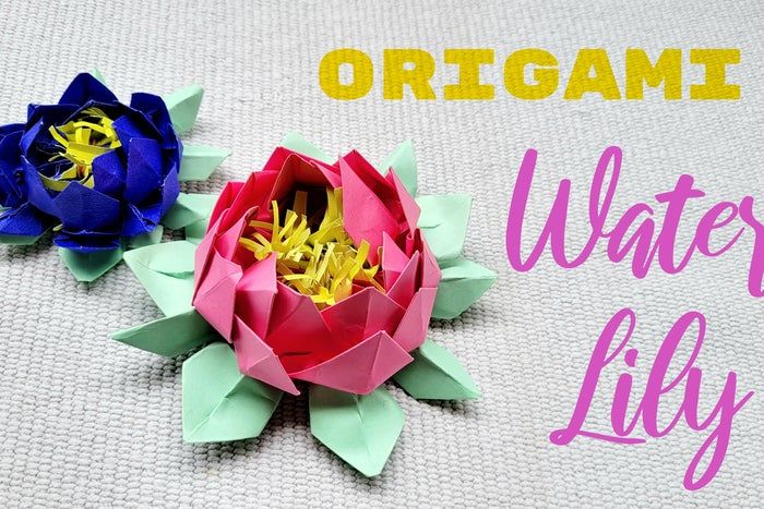 超简单折纸睡莲教程，零基础也能轻松学会-第1张图片-趣作屋