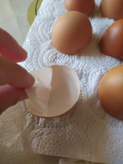 用鸡蛋壳做多彩马赛克装饰的简单方法-第3张图片-趣作屋