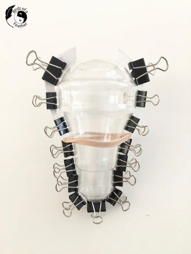 用废弃塑料制作创意水泥灯泡花盆-第9张图片-趣作屋