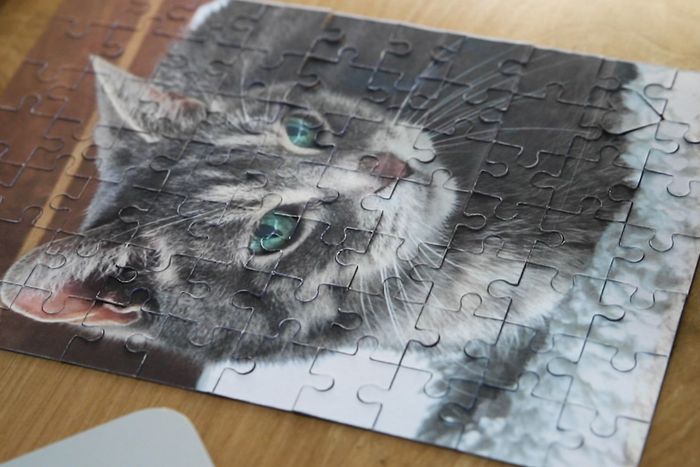 用废旧麦片盒制作猫咪拼图教程-第16张图片-趣作屋 用废旧麦片盒制作猫咪拼图教程-第16张图片-趣作屋