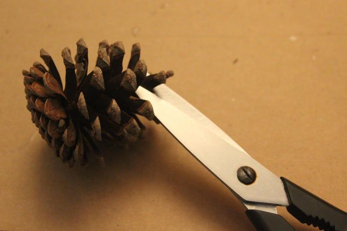用松果制作创意圣诞装饰品教程-第4张图片-趣作屋