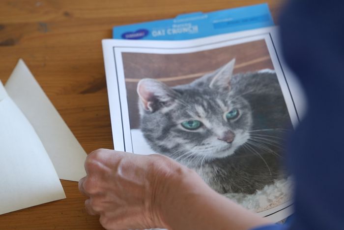 用废旧麦片盒制作猫咪拼图教程-第4张图片-趣作屋 用废旧麦片盒制作猫咪拼图教程-第4张图片-趣作屋