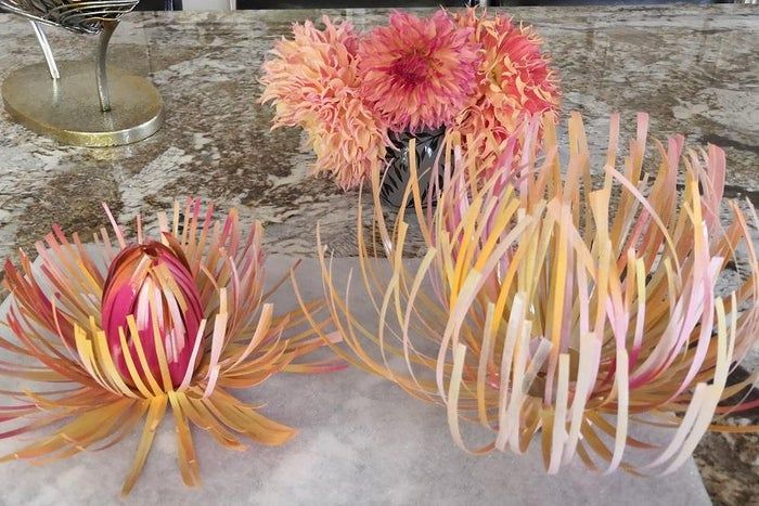 塑料瓶变废为宝:简单几步做出美丽花朵装饰-第1张图片-趣作屋 塑料瓶变废为宝:简单几步做出美丽花朵装饰-第1张图片-趣作屋