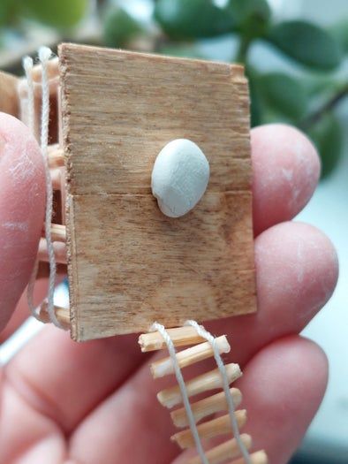 简单易学的迷你树屋DIY教程-第21张图片-趣作屋