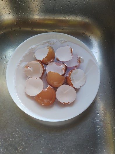 用鸡蛋壳做多彩马赛克装饰的简单方法-第2张图片-趣作屋