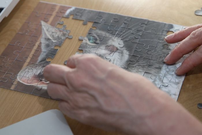 用废旧麦片盒制作猫咪拼图教程-第1张图片-趣作屋 用废旧麦片盒制作猫咪拼图教程-第1张图片-趣作屋