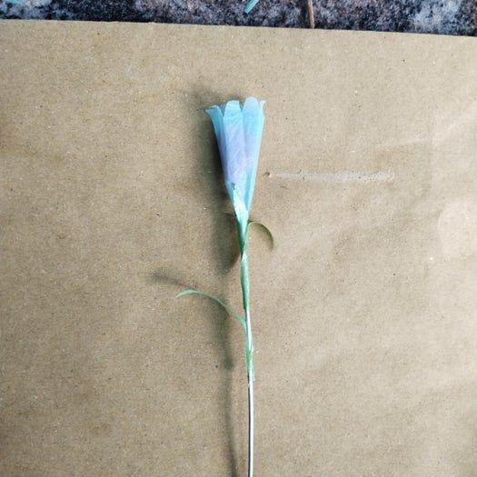 用塑料袋DIY家居装饰花束教程-第34张图片-趣作屋 用塑料袋DIY家居装饰花束教程-第34张图片-趣作屋