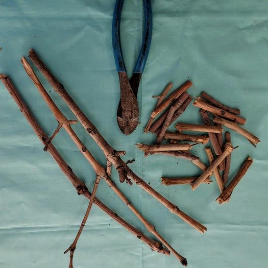 简单易做田园风花环DIY教程-第3张图片-趣作屋