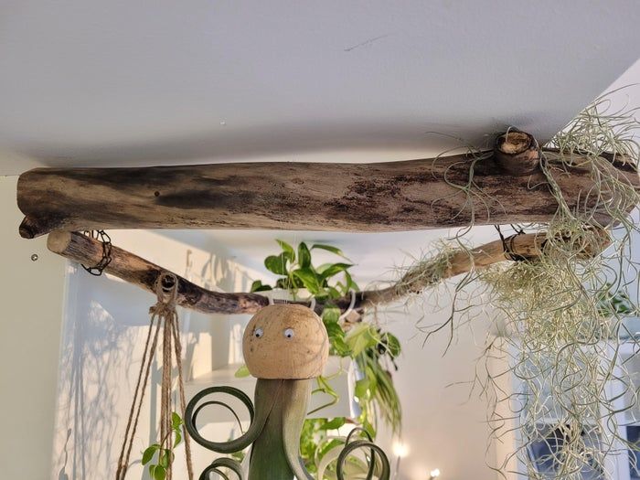 低成本打造室内植物展示墙教程-第18张图片-趣作屋