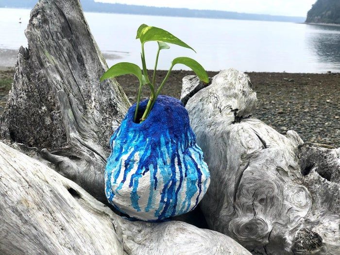 用塑料垃圾DIY创意花盆，环保又实用-第1张图片-趣作屋