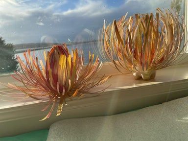 塑料瓶变废为宝:简单几步做出美丽花朵装饰-第2张图片-趣作屋 塑料瓶变废为宝:简单几步做出美丽花朵装饰-第2张图片-趣作屋