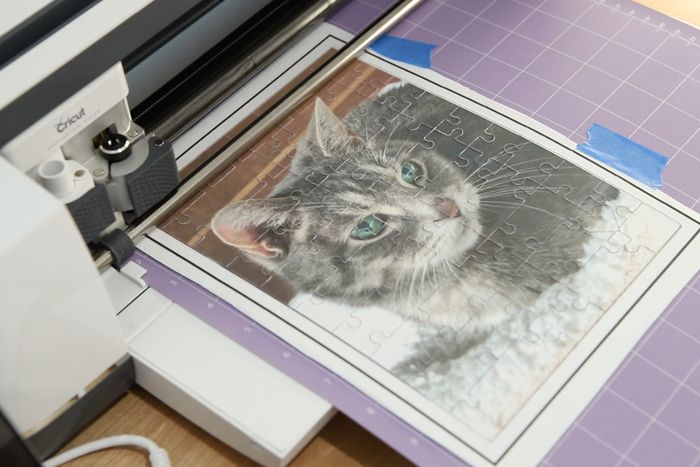 用废旧麦片盒制作猫咪拼图教程-第12张图片-趣作屋 用废旧麦片盒制作猫咪拼图教程-第12张图片-趣作屋