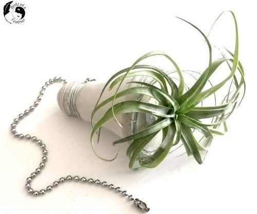 用废弃塑料制作创意水泥灯泡花盆-第22张图片-趣作屋