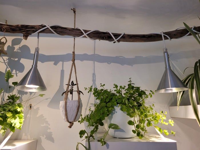 低成本打造室内植物展示墙教程-第9张图片-趣作屋