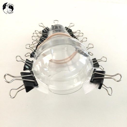 用废弃塑料制作创意水泥灯泡花盆-第10张图片-趣作屋