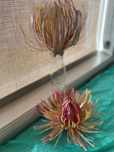 塑料瓶变废为宝:简单几步做出美丽花朵装饰-第17张图片-趣作屋 塑料瓶变废为宝:简单几步做出美丽花朵装饰-第17张图片-趣作屋