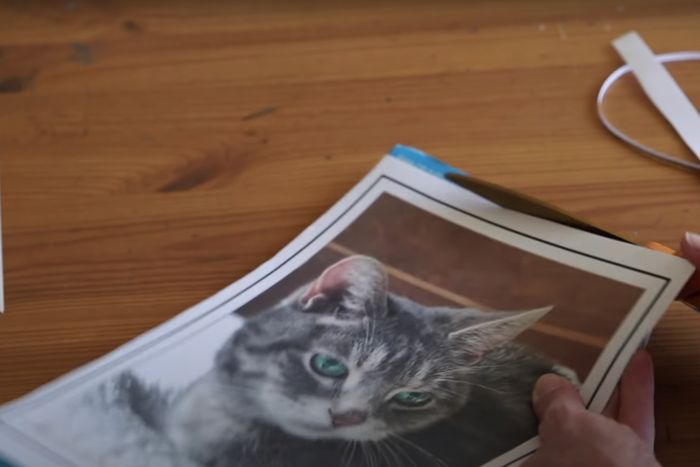 用废旧麦片盒制作猫咪拼图教程-第5张图片-趣作屋 用废旧麦片盒制作猫咪拼图教程-第5张图片-趣作屋