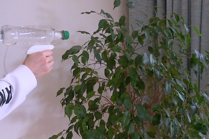 塑料瓶变废为宝：超简单3个生活小妙招-第6张图片-趣作屋