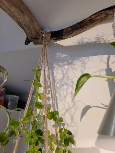 低成本打造室内植物展示墙教程-第17张图片-趣作屋