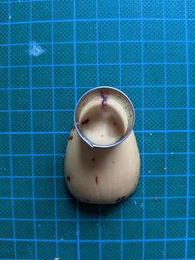 牛油果核DIY小纽扣制作教程-第10张图片-趣作屋