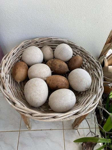 零成本自制复古储蓄罐教程-第3张图片-趣作屋