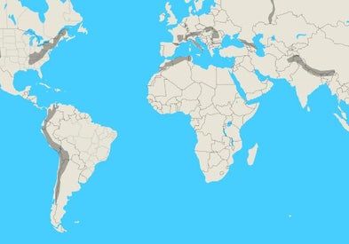 专为智力障碍人士设计的桌游《失落的大陆》自制教程-第27张图片-趣作屋